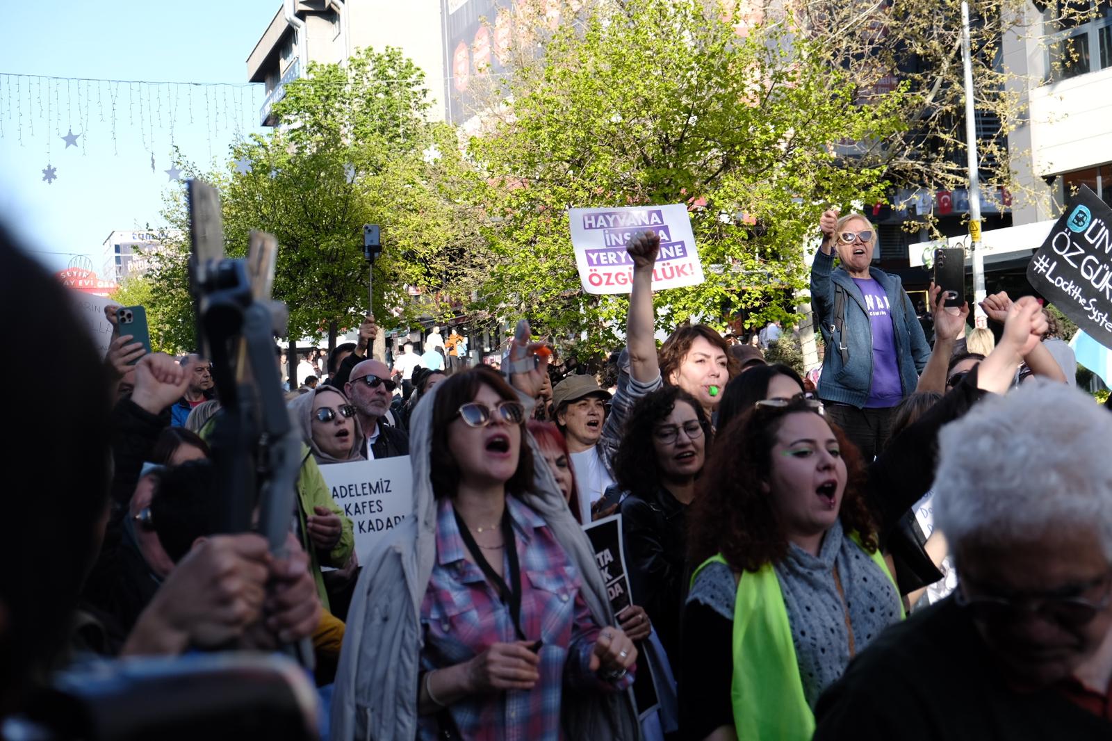 Hayvan hakları savunucuları Ankara’da yürüdü: “Katliam yasası çöpe atılsın!”