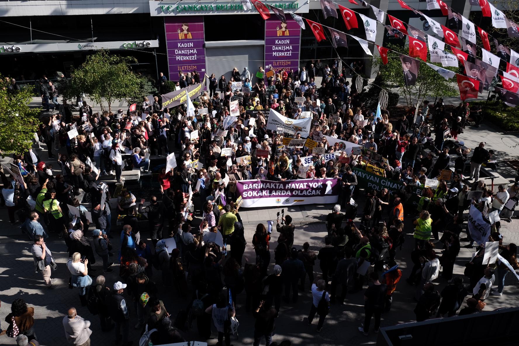 Hayvan hakları savunucuları Ankara’da yürüdü: “Katliam yasası çöpe atılsın!”