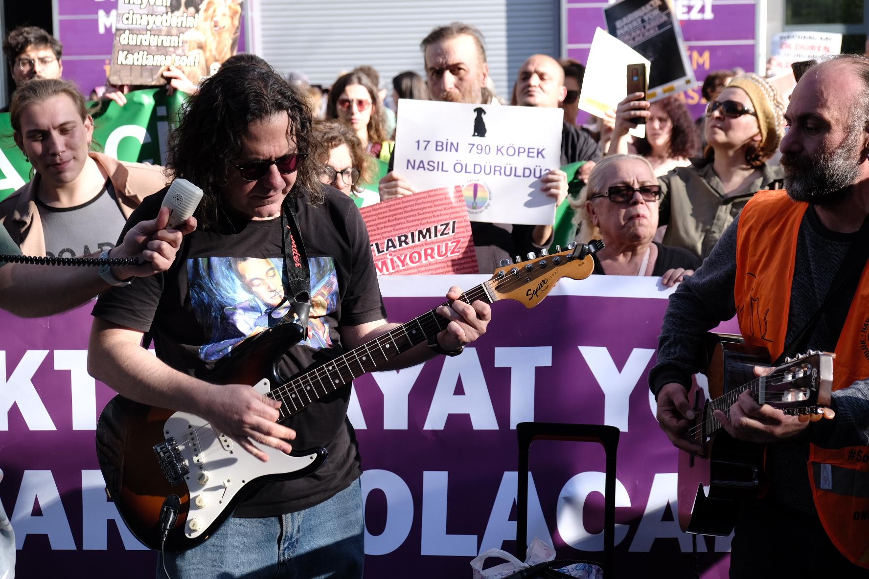 Hayvan hakları savunucuları Ankara’da yürüdü: “Katliam yasası çöpe atılsın!”