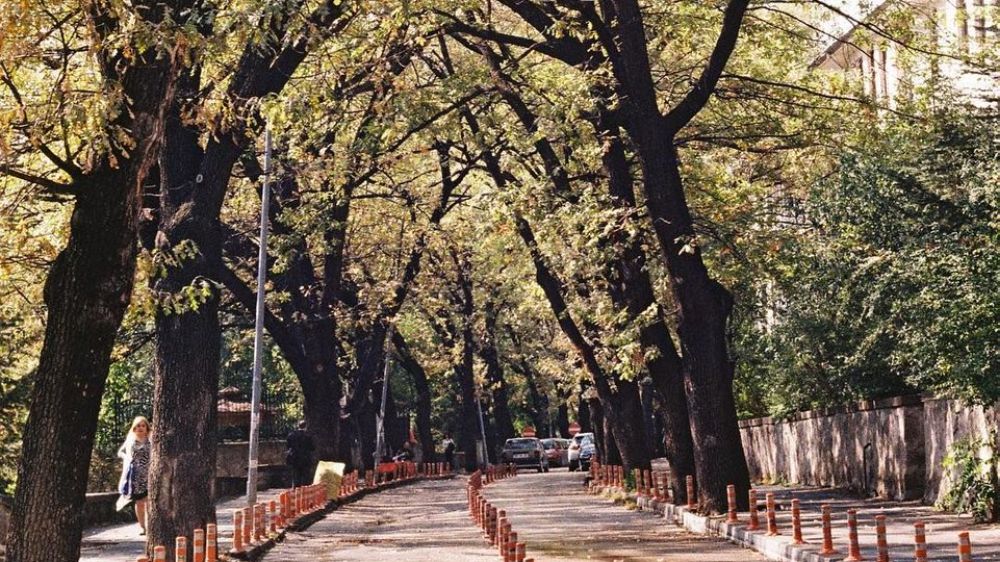 Kumrular Caddesi