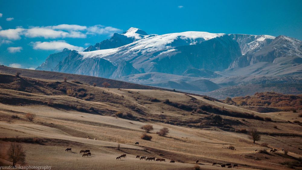 Ayışığında Agora- Bu Anadolu Var Ya…