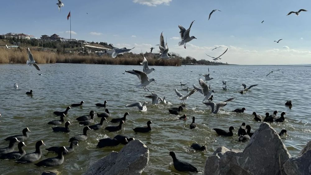 Mogan Gölü Havalanı Olamaz