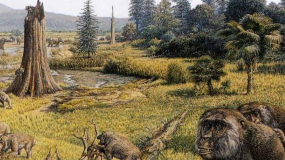 Ankaralı Maymun Büyüğümüz Ankarapithecus Meteai 