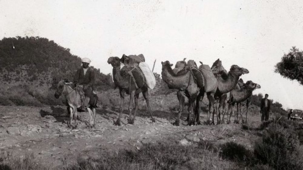 Kervan Düzme - Gezgin Tüccarlıktan Yerleşik Tüccarlığa