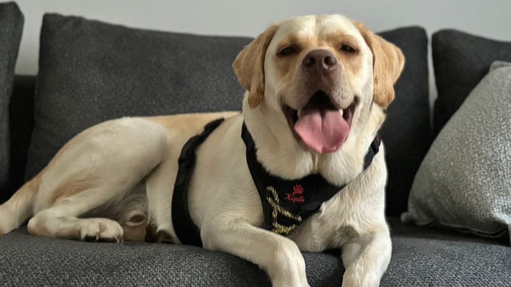 Sakız Haklı: Böyle Yaşanmaz!