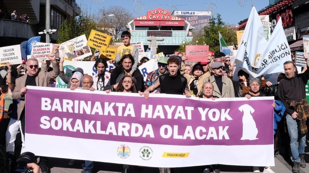 Hayvan hakları savunucuları Ankara’da yürüdü: “Katliam yasası çöpe atılsın!”
