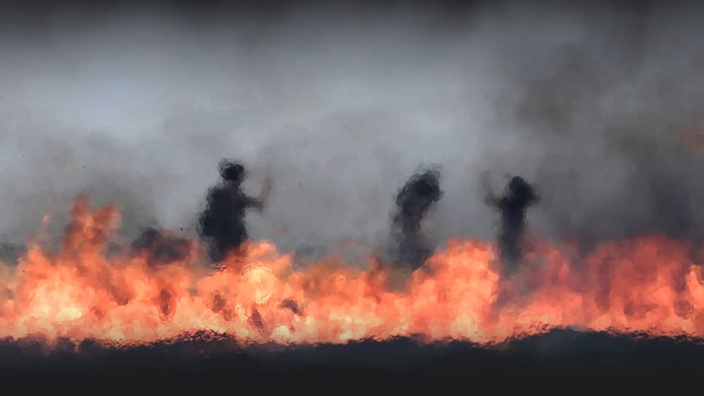 Politik Ekoloji: Talan, Baskı ve Yaşamın Yeniden Kuruluşu