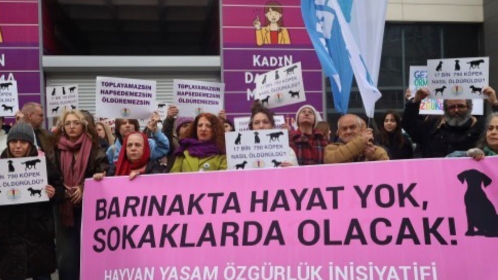 Sokakta köpek olur! 