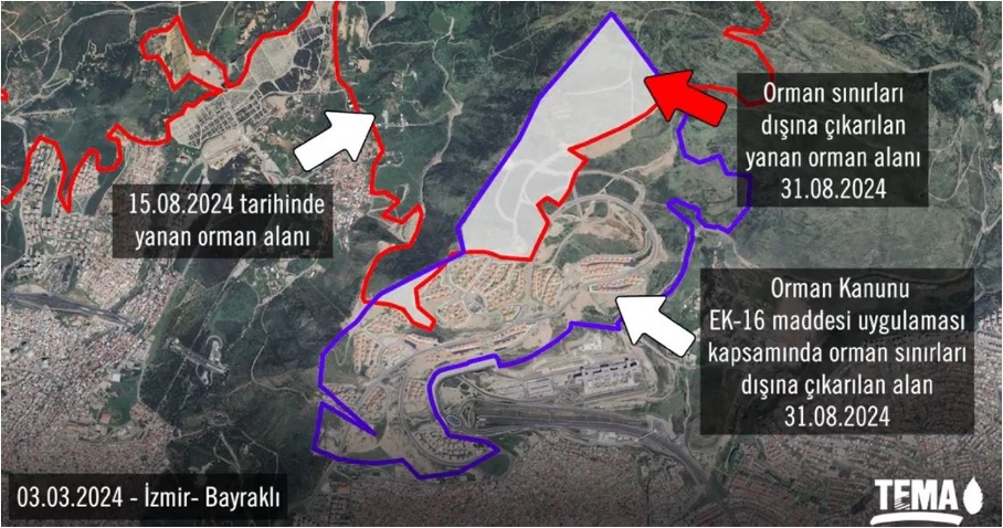 Bir Havzanın Tasfiyesi: Yamanlar’da Hukuk, Orman ve Kent